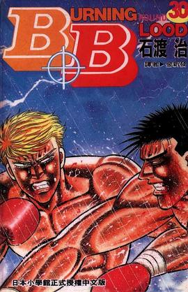 B.B(30) pdf epub mobi 電子書 下載