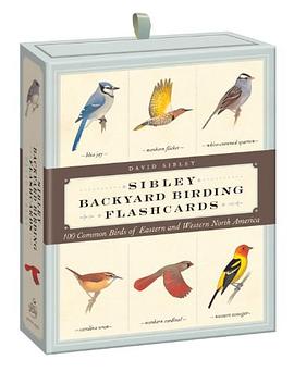 Sibley Backyard Birding Flashcards pdf epub mobi 电子书 下载