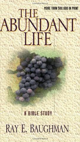 The Abundant Life pdf epub mobi 電子書 下載