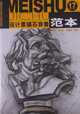 设计素描石膏像范本17 pdf epub mobi 电子书 下载
