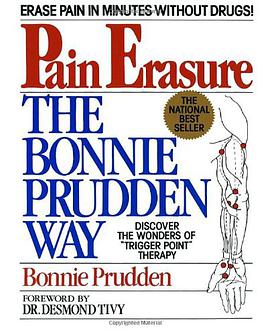 The Pain Erasure pdf epub mobi 电子书 下载