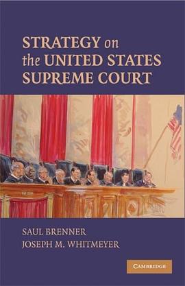 Strategy on the United States Supreme Court pdf epub mobi 電子書 下載