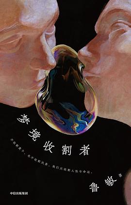 梦境收割者 pdf epub mobi 电子书 下载