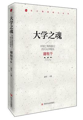 大学之魂：中国工程院院士、四川大学校长谢和平 pdf epub mobi 电子书 下载