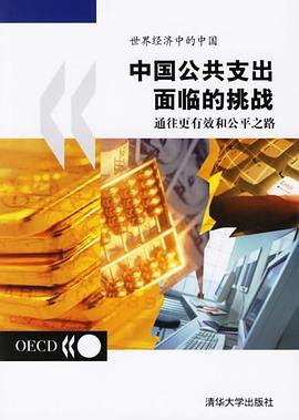 中国公共支出面临的挑战 pdf epub mobi 电子书 下载