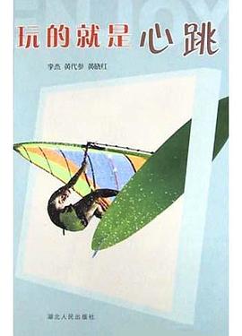 玩的就是心跳 pdf epub mobi 电子书 下载