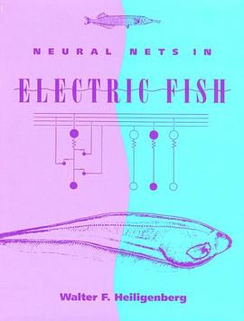 Neural Nets in Electric Fish pdf epub mobi 电子书 下载