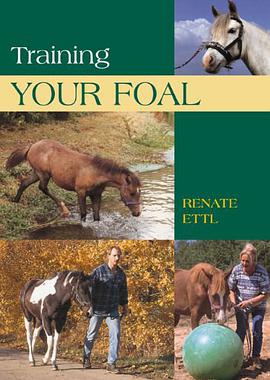 Training Your Foal pdf epub mobi 电子书 下载