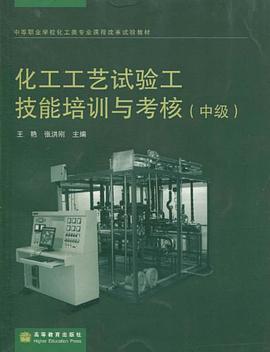 化工工艺试验工技能培训与考核（中级） pdf epub mobi 电子书 下载