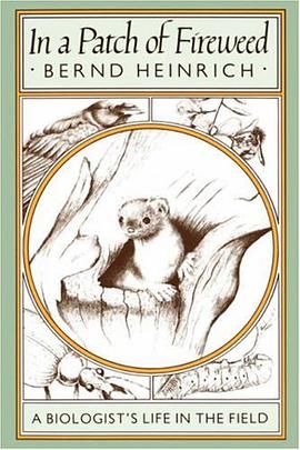 In a Patch of Fireweed pdf epub mobi 电子书 下载