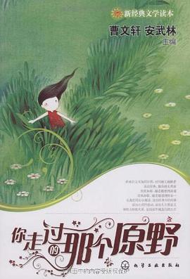 你走过的那个原野 pdf epub mobi 电子书 下载