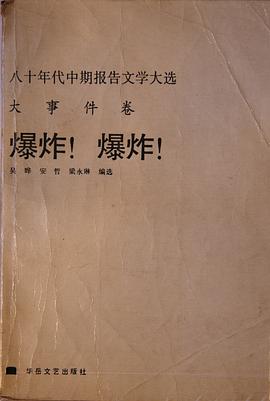 爆炸!爆炸! pdf epub mobi 电子书 下载
