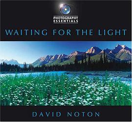 Photography Essentials Waiting For The Light pdf epub mobi 电子书 下载