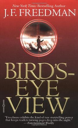 Bird's Eye View pdf epub mobi 电子书 下载