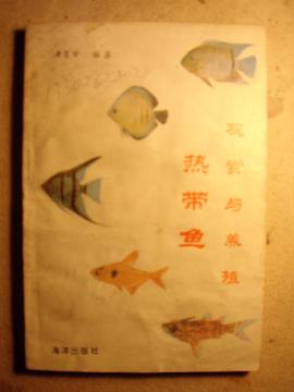 熱帶魚觀賞與養殖