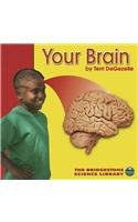 Your Brain pdf epub mobi 电子书 下载