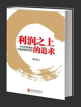 利润之上的追求 pdf epub mobi 电子书 下载