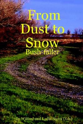 From Dust to Snow pdf epub mobi 电子书 下载