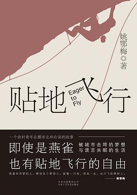 贴地飞行 pdf epub mobi 电子书 下载