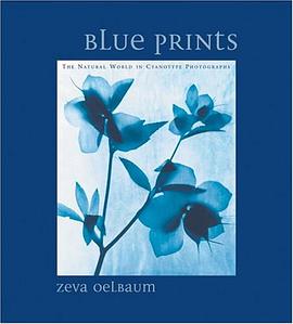 Blue Prints pdf epub mobi 电子书 下载