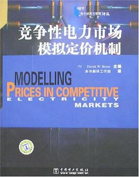競爭性電力市場模擬定價機製 pdf epub mobi 電子書 下載
