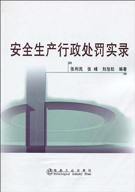 安全生産行政處罰實錄