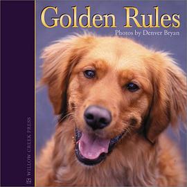 Golden Rules pdf epub mobi 电子书 下载