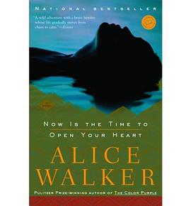 Now Is the Time to Open Your Heart pdf epub mobi 电子书 下载