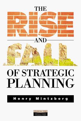 The Rise and Fall of Strategic Planning pdf epub mobi 电子书 下载