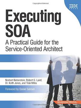 Executing SOA pdf epub mobi 电子书 下载