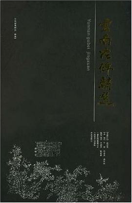 雲南古碑精選 pdf epub mobi 電子書 下載
