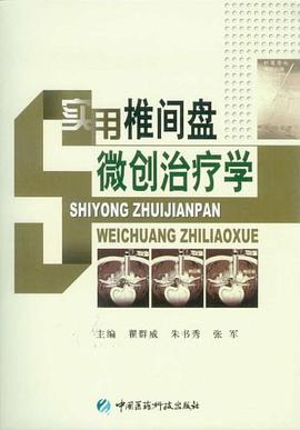 实用椎间盘微创治疗学 pdf epub mobi 电子书 下载