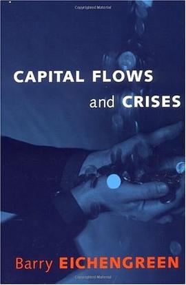 Capital Flows and Crises pdf epub mobi 电子书 下载