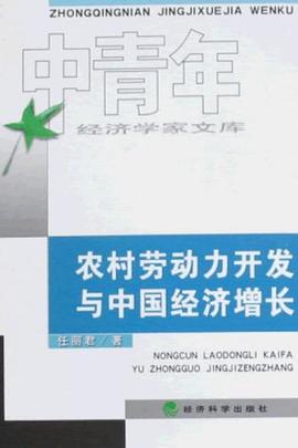 农村劳动力开发与中国经济增长 pdf epub mobi 电子书 下载