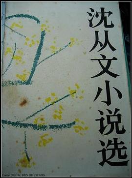 沈从文小说选