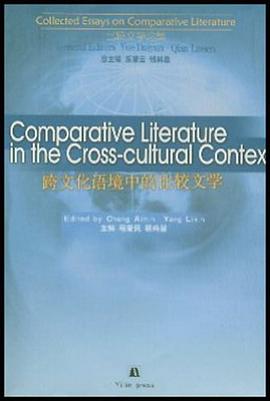 跨文化语境中的比较文学