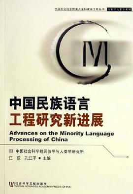 中国民族语言工程研究新进展 pdf epub mobi 电子书 下载