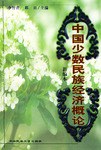 中國少數民族經濟概論 pdf epub mobi 下载