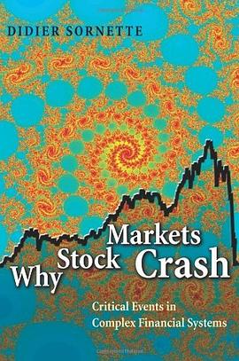 Why Stock Markets Crash pdf epub mobi 電子書 下載