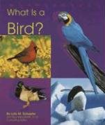 What Is a Bird? pdf epub mobi 电子书 下载