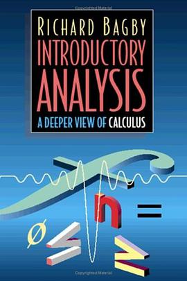 Introductory Analysis pdf epub mobi 电子书 下载