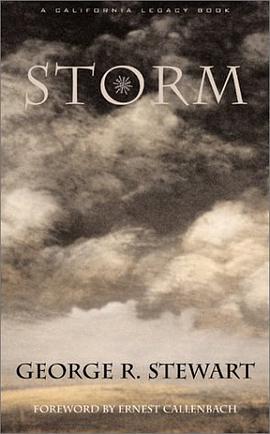 Storm pdf epub mobi 电子书 下载