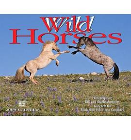 Wild Horses 2009 Calendar pdf epub mobi 电子书 下载