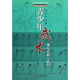 青少年武术规范套路与散打 pdf epub mobi 电子书 下载