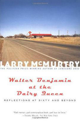 Walter Benjamin at the Dairy Queen pdf epub mobi 电子书 下载