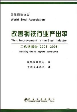 改善钢铁行业产出率 pdf epub mobi 电子书 下载