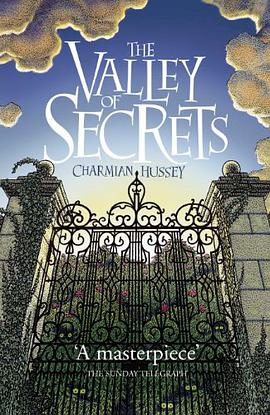 Valley of Secrets pdf epub mobi 下载