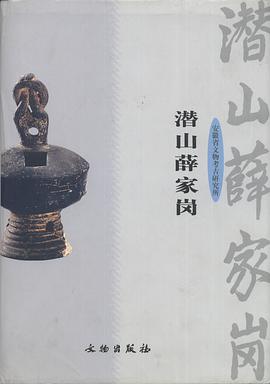 潜山薛家岗 pdf epub mobi 下载
