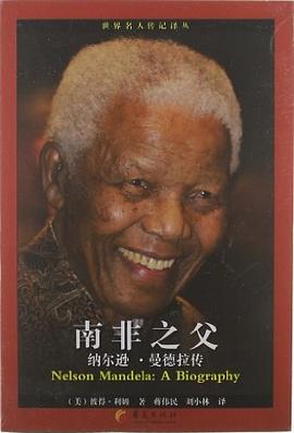 南非之父 pdf epub mobi 电子书 下载