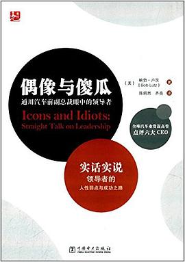 偶像与傻瓜 pdf epub mobi 电子书 下载